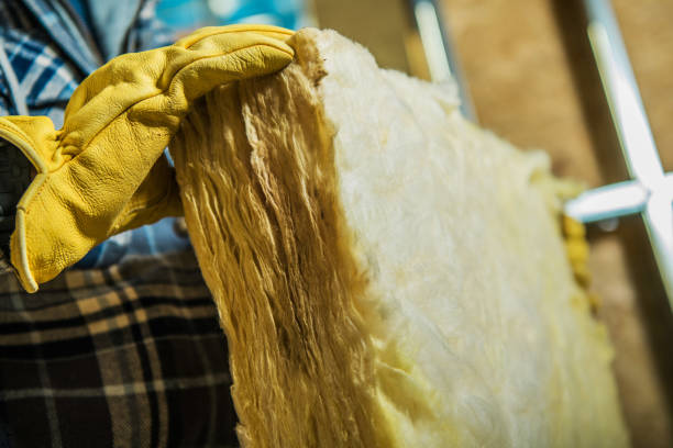 Best Geographic-Specific Insulation Services in Bunker Hill Village, TX
